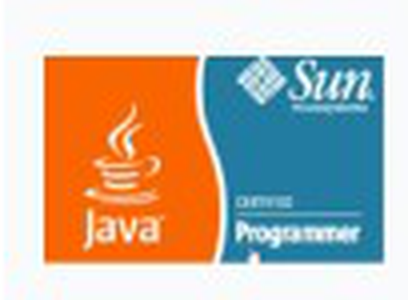 Sun Certified Programmer for Java Platform, Standard Edition 6.0 badge